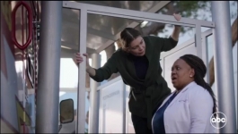 Greys Anatomy - Season 20 Episode 01